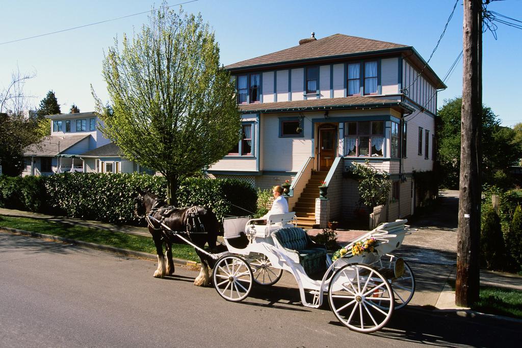 Marketa'S Bed And Breakfast Victoria Kültér fotó